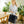 Load image into Gallery viewer, Tosca Woven Oversized Tote Bag
