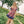Load image into Gallery viewer, Howard Dress