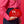 Load image into Gallery viewer, "Fizz The Season" Minaudière
