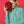 Load image into Gallery viewer, Trees Minaudière
