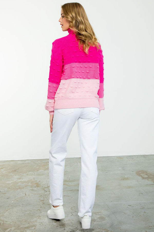 Colorblocked Turtleneck Knit Sweater