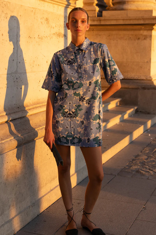 Collared Shirt Dress Mini