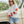 Load image into Gallery viewer, Stars First Date Sweatshirt
