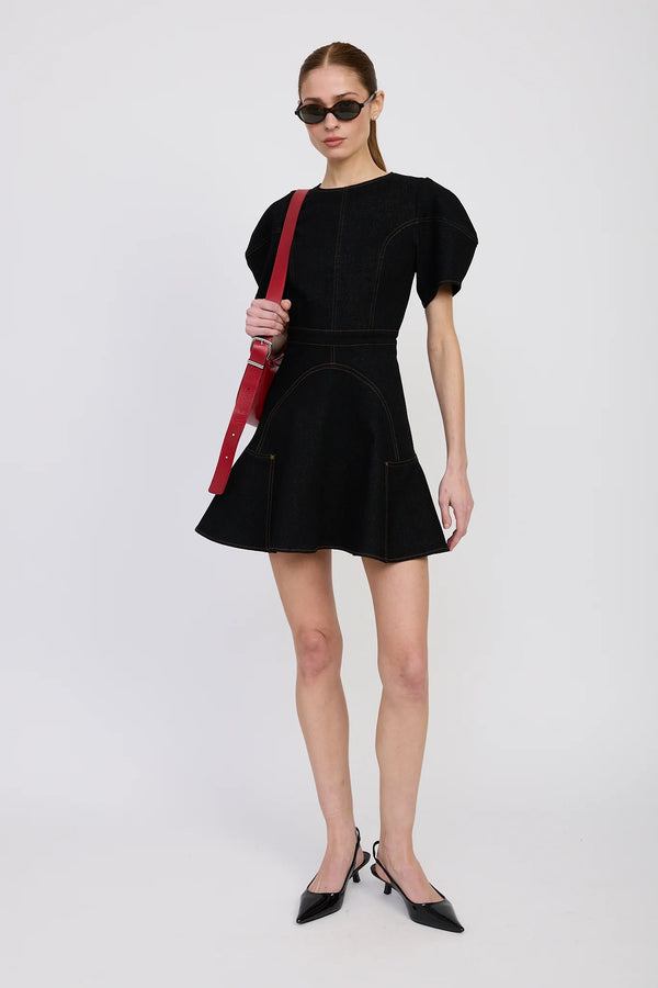 Aaliyah Mini Dress