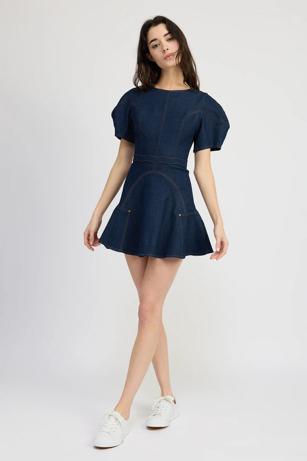 Denim Ruffle Mini Dress