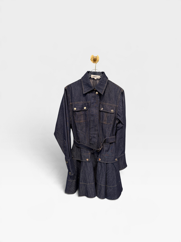 Fer Denim Mini Dress