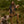 Load image into Gallery viewer, Jonas Dress
