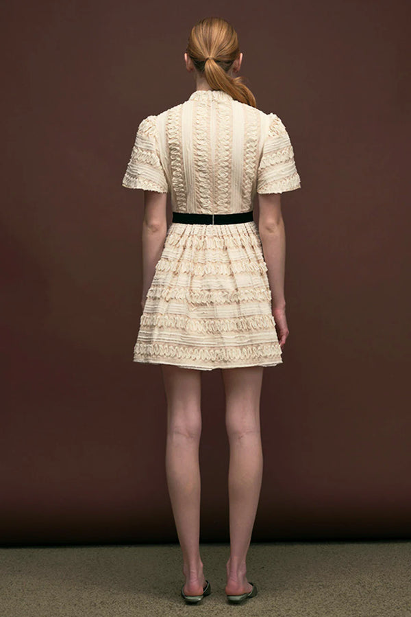 Embroidered Stripe Mini Full Dress