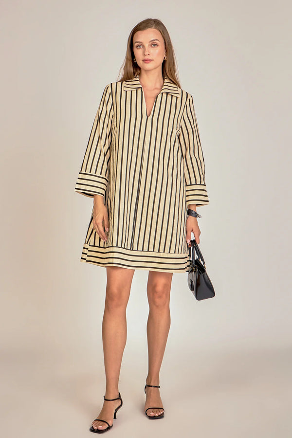 Stripe Collared Mini Dress