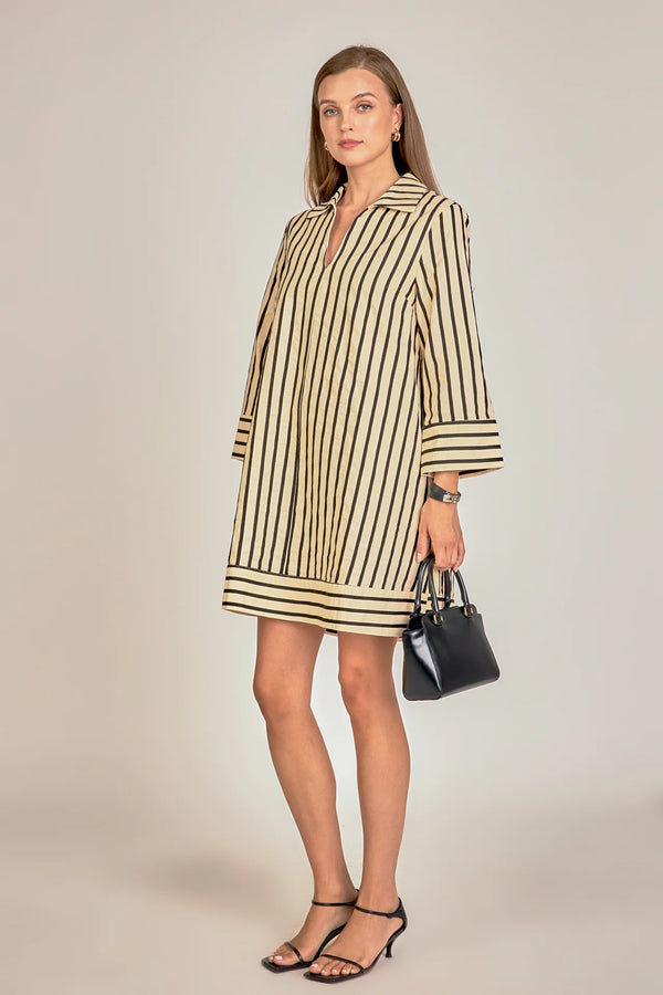 Stripe Collared Mini Dress