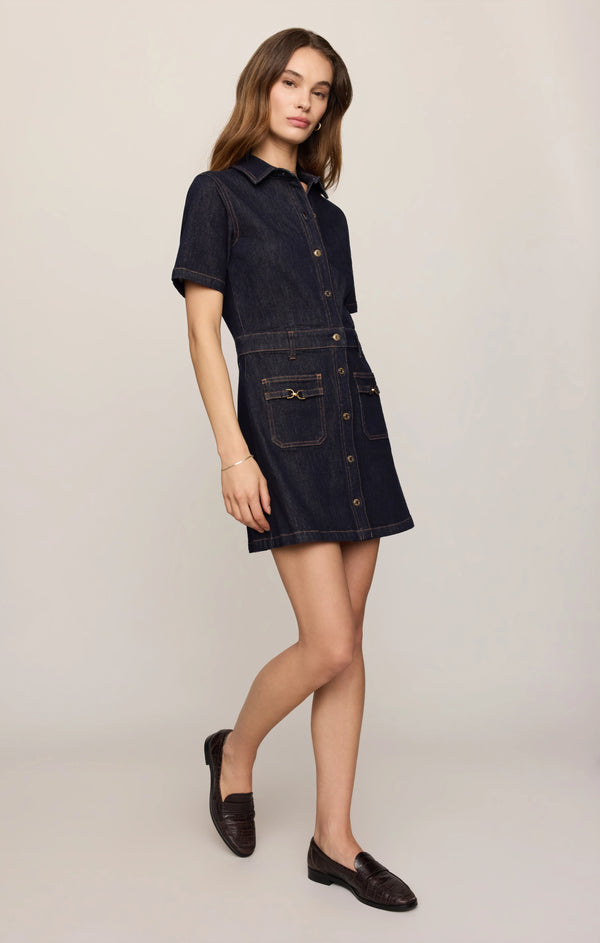 Crush Denim Mini Dress