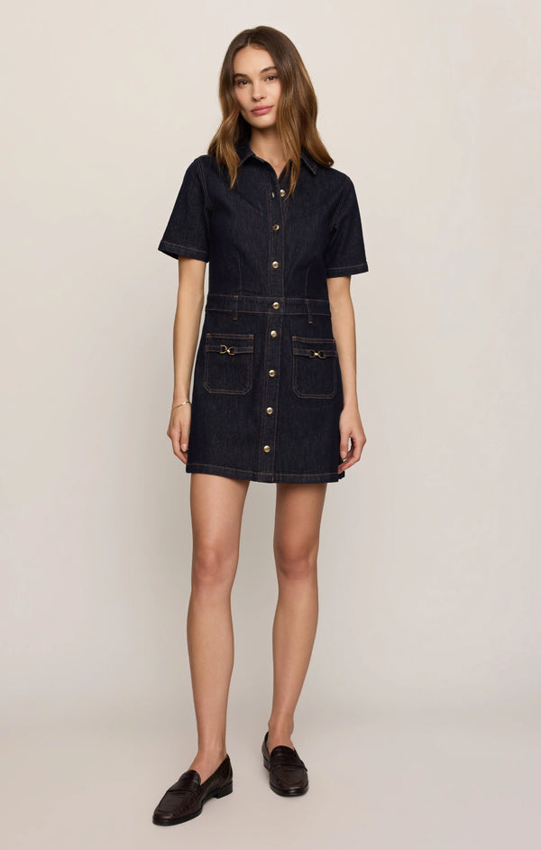 Crush Denim Mini Dress