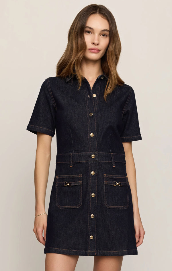 Crush Denim Mini Dress